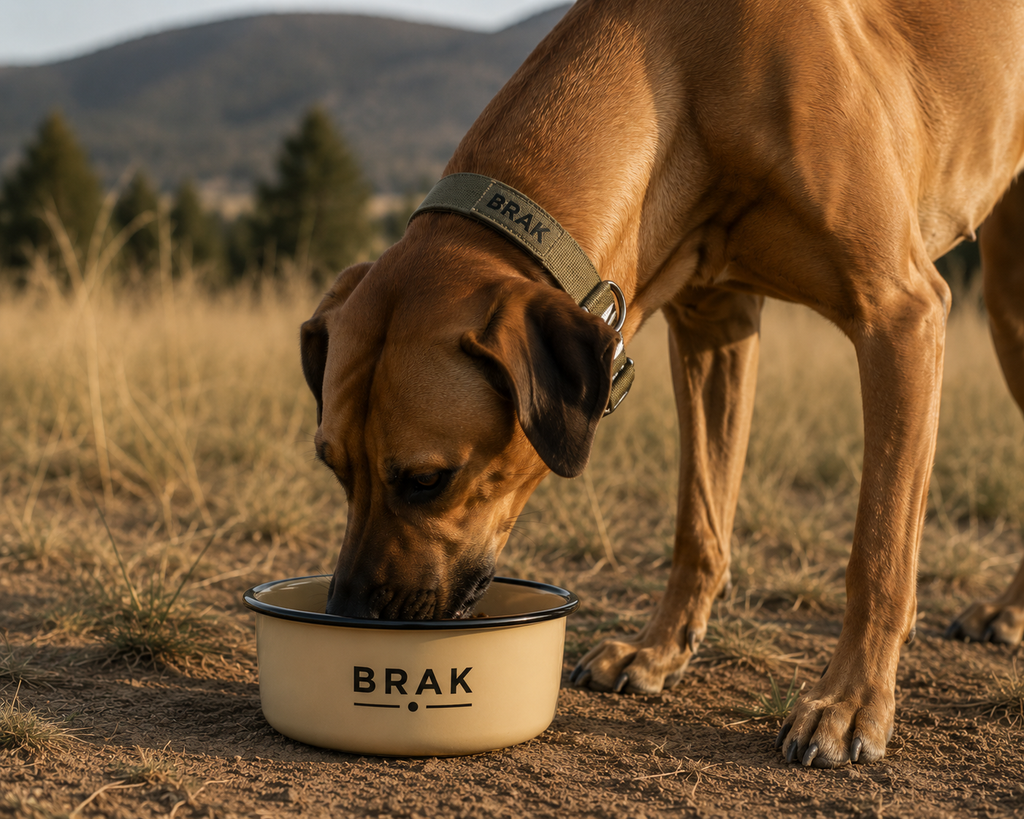BRAK Voerbak