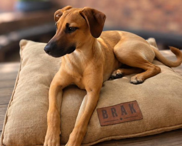 BRAK Lekkerlê Bed