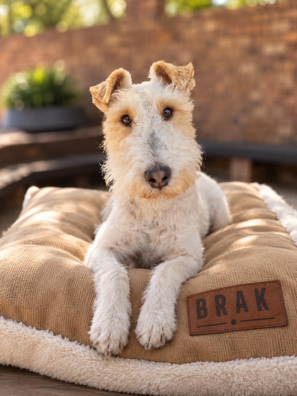 BRAK Kombers
